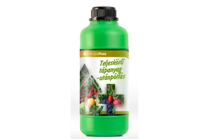 Energia Plusz